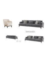 BERCESTE Salon Takımı - Görsel 2